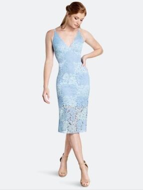 dress the population tara dress Dress the Population Tara Floral Appliqu Midi-Dress